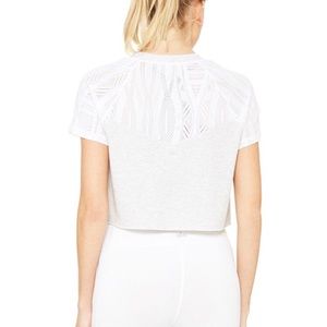 Alo yoga sport short sleeve top